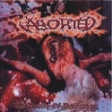 Aborted - The Purity of Perversion: Album Cover