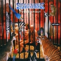 Scorpions - Pure Instinct: Album Cover