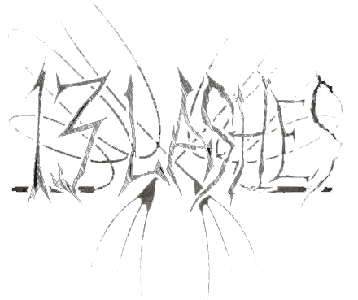 13 Lashes Artist Logo