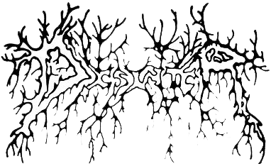 Disinter Artist Logo